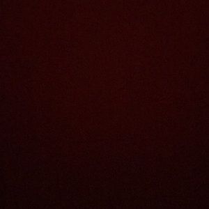 Meet your Posher, Everett